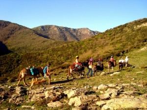 Eselwandern Spanien