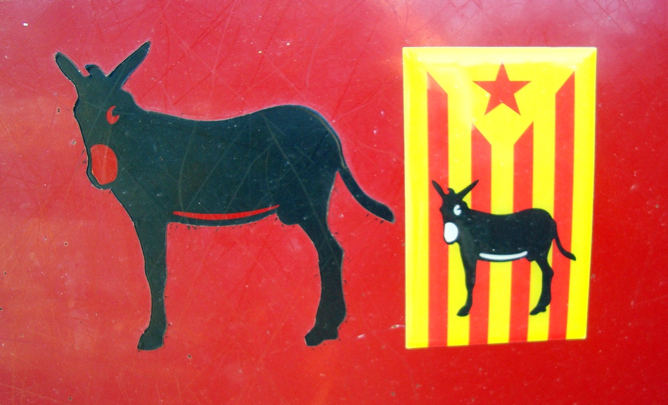Der Katalanische Esel