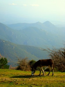Panorama Alt Empordà auf Eselwanderung