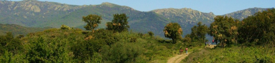 Ruta de 2 días con burros-  ” Al pie de los Pirineos”